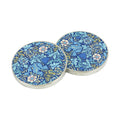 Pattern weights 2-pack