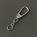 Carabiner with chain