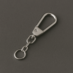 Carabiner with chain